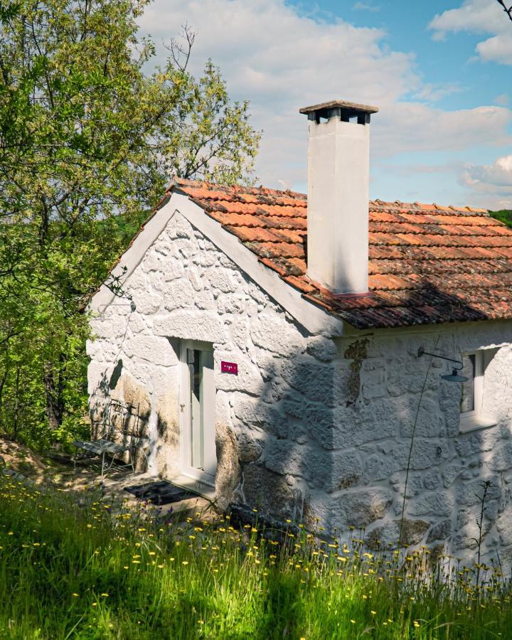 Casa Da Varzea - Serra Da Estrela Fornos de Algodres Exterior photo